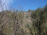 nte Fontane-01042012 107